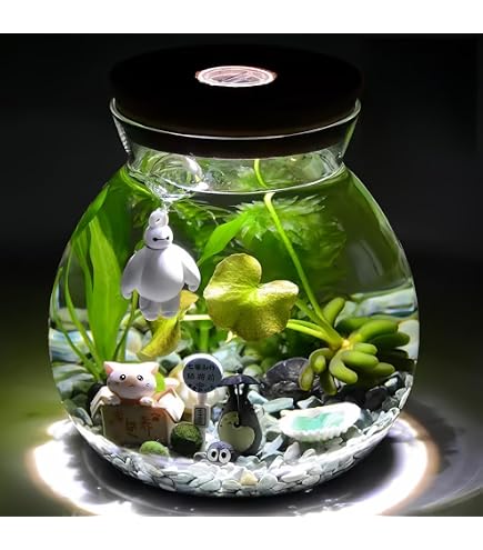 Amazon.co.jp: テラリウム キット 苔テラリウム キットガラス容器
